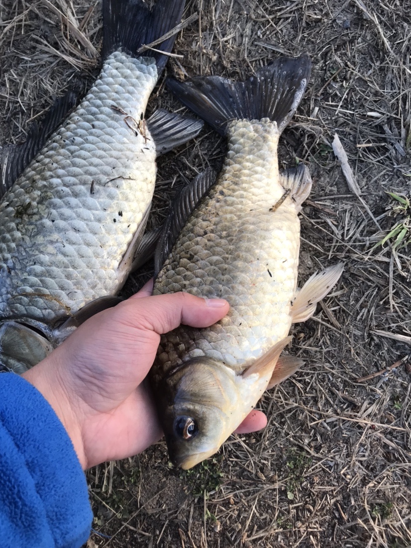 春天河边钓鱼技巧视频,春天水库钓鱼技巧
