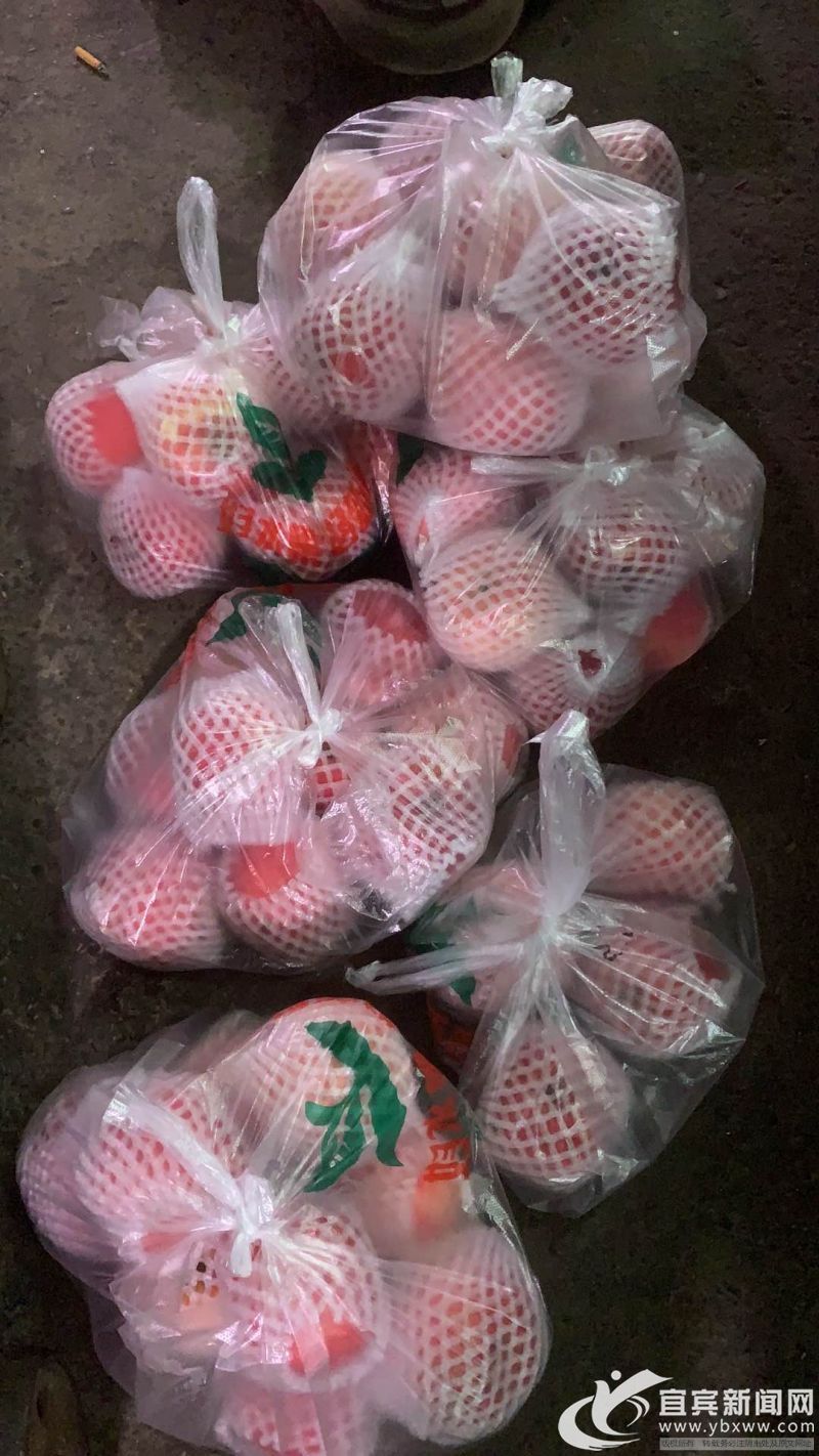 vlog创业渠道,vlog创业领域