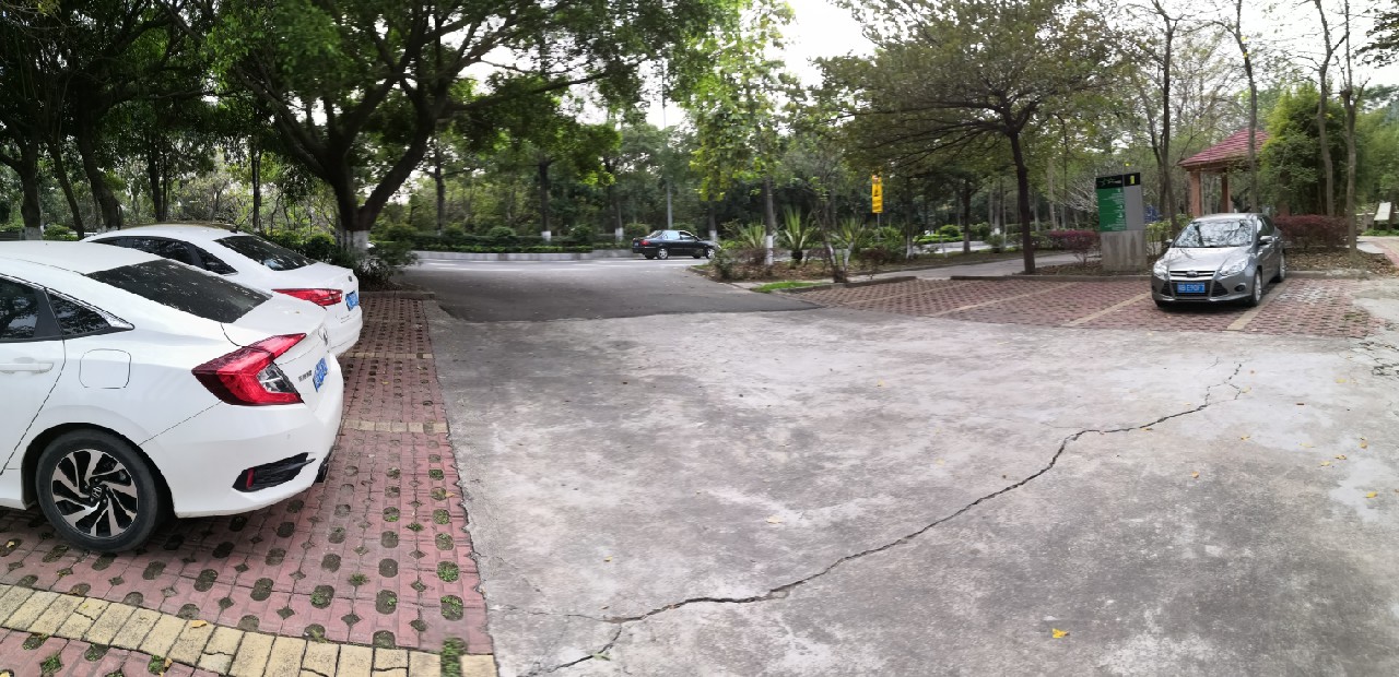 增江钓土鲮时间,增江土鲮爆护