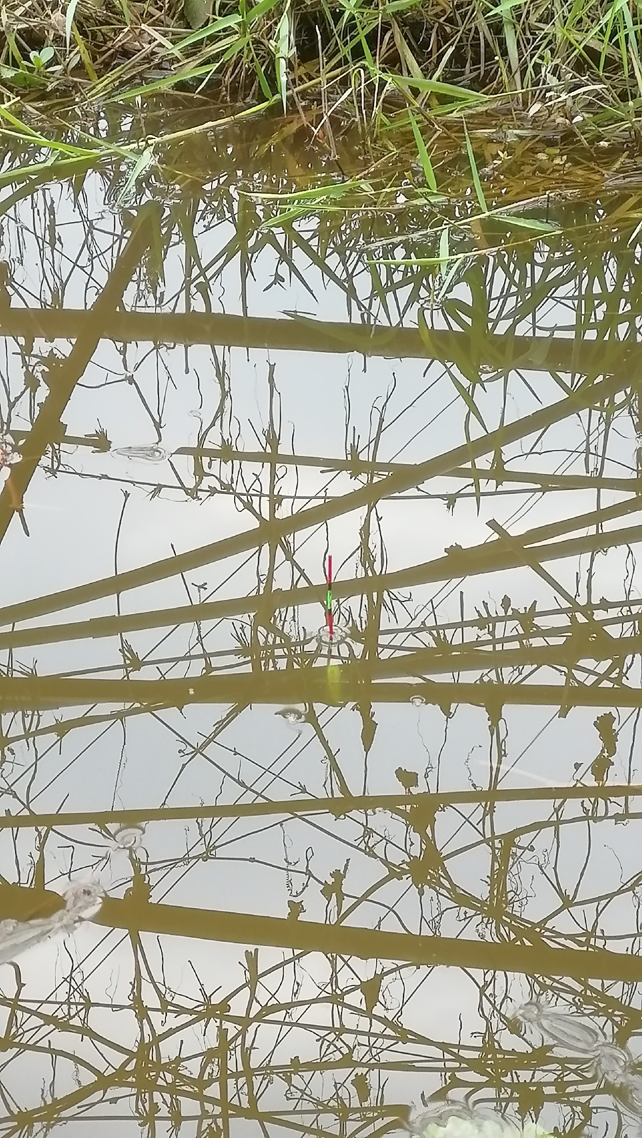 新手鱼漂教程,新手鱼漂如何使用教程