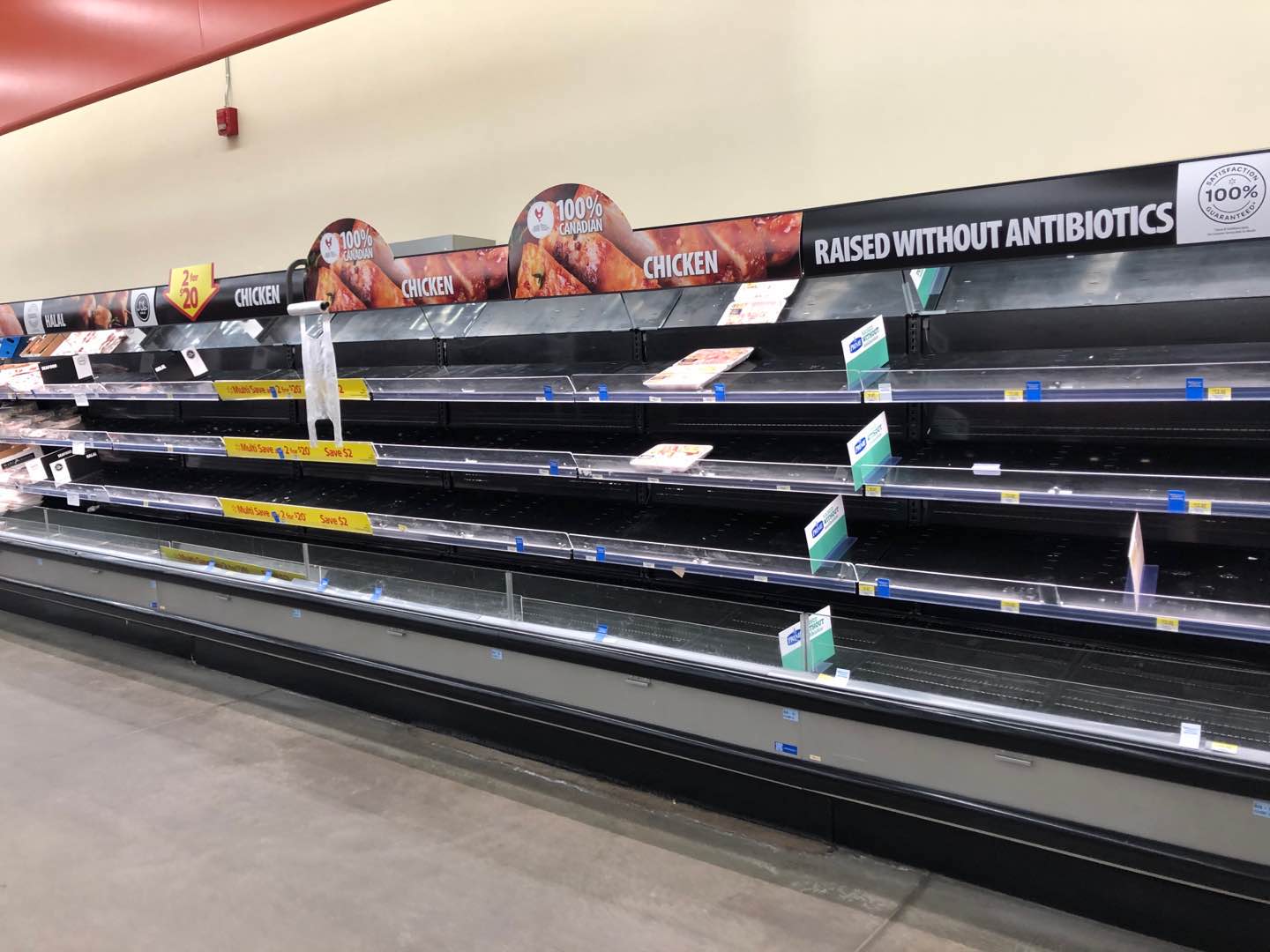 临沂人海外战疫|加拿大约克大学硕士周子倩：求职季，20份简历石沉大海