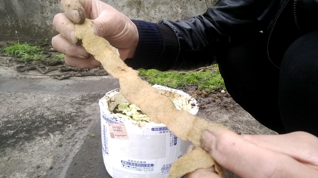 自制养蚯蚓神器,自制鱼饵神器大全