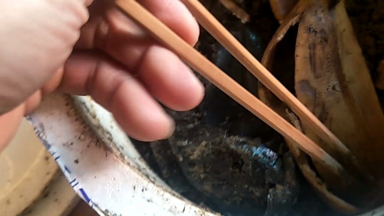 自制养蚯蚓神器,自制鱼饵神器大全