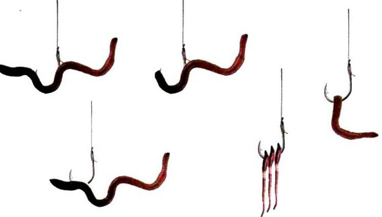 自制养蚯蚓神器,自制鱼饵神器大全