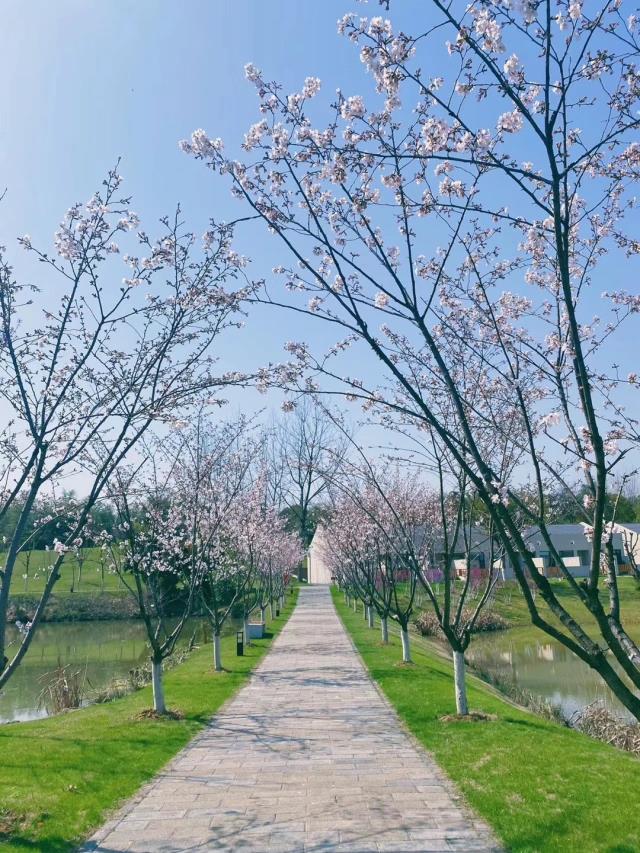 江苏假期旅行社,江苏旅行社什么时候恢复正常出行