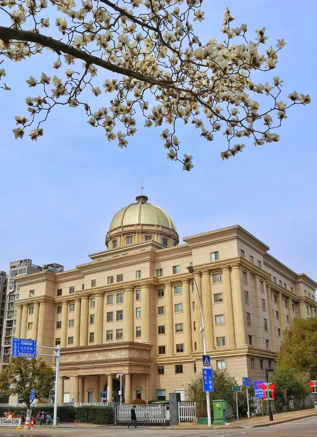 南京赏花地图请收好,江宁赏花好去处