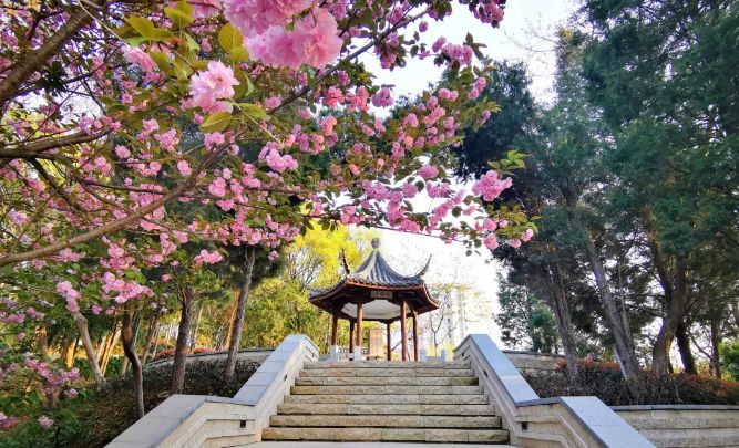 南京赏花地图请收好,江宁赏花好去处