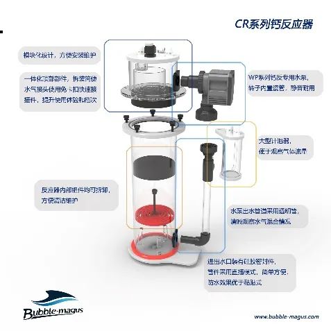 2020款，BM第3代钙反实测