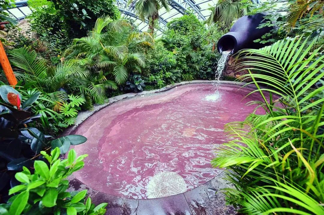 湖州温泉喜来登度假酒店,湖州喜来登温泉度假酒店