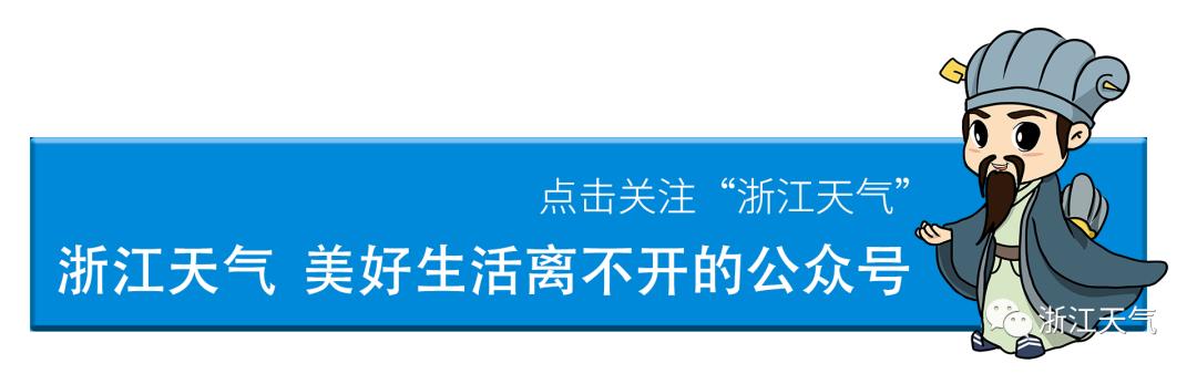 塘栖枇杷熟了！有了这份指南，吃货们必定不虚此行！