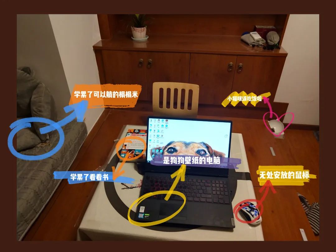 哎呀,有趣!川大版宅家学习书桌大赏