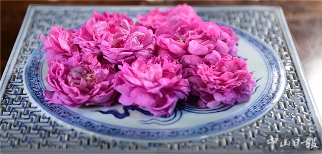 时令的味道,时令的味道完整版