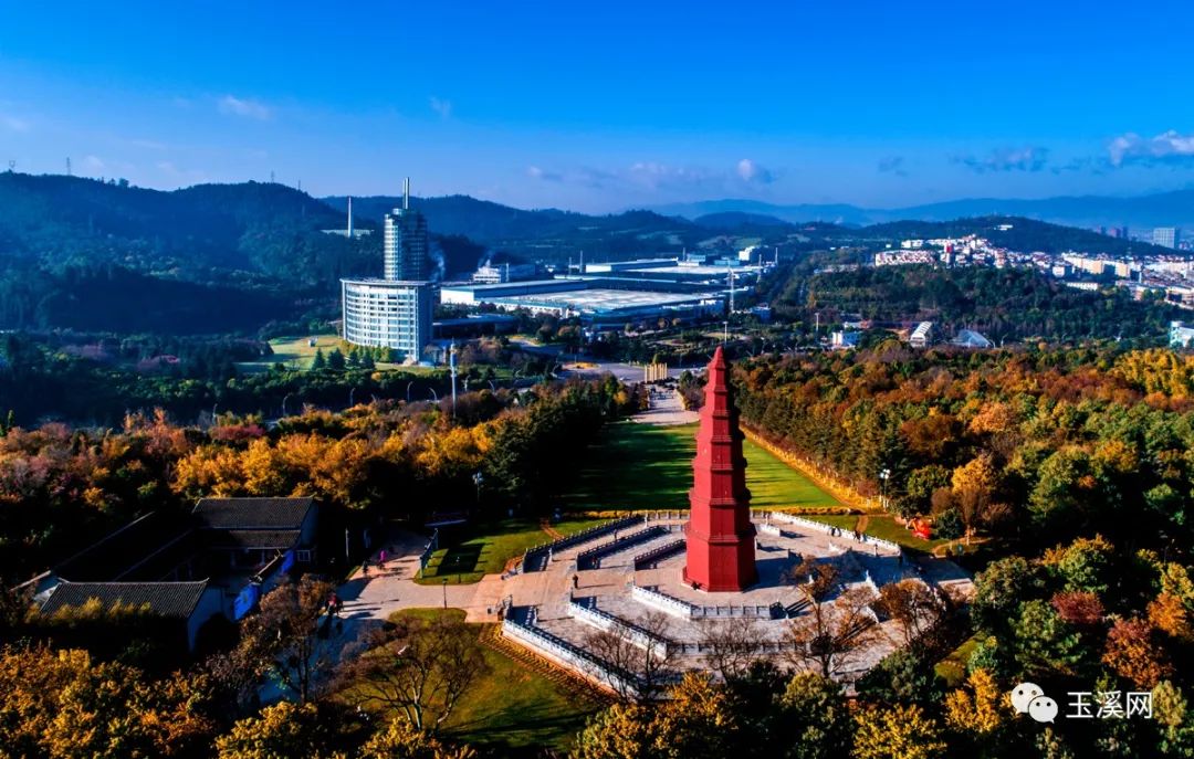 诗情画意文峰路,诗情画意岩茶