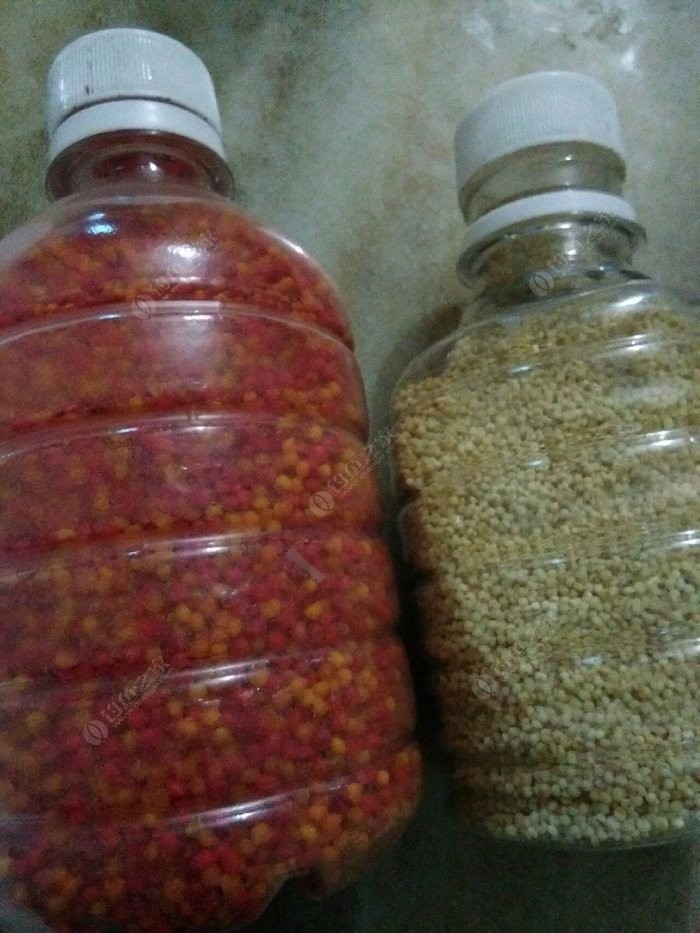 野钓中药酒米制作及配方,自制钓鱼酒米配方