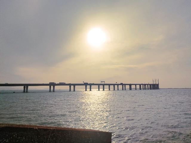 青岛海泊桥海鲜市场梭子蟹,青岛团岛海鲜市场螃蟹价格