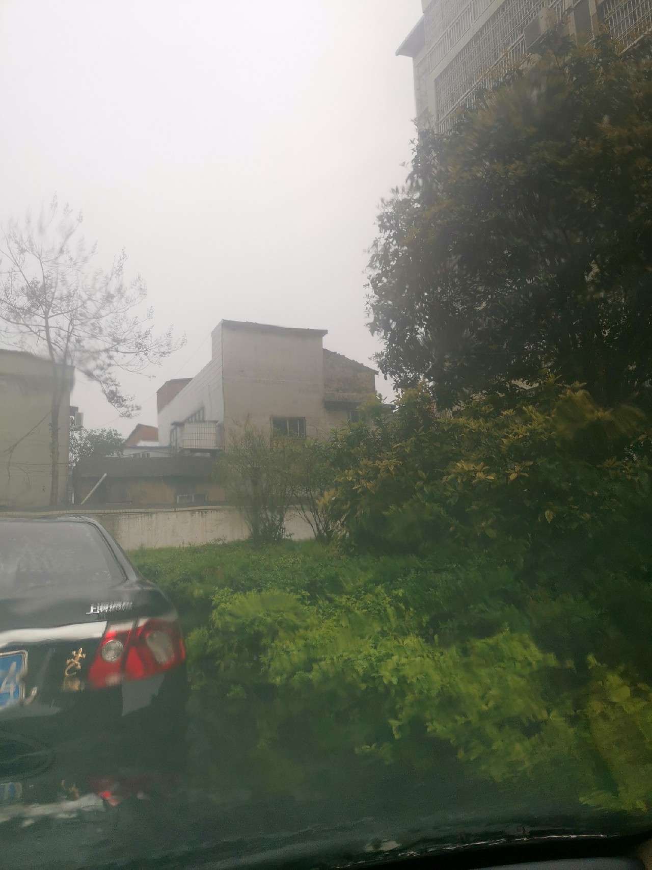 春天红虫钓鱼实战测试,春天矶竿滑漂钓鲫鱼视频