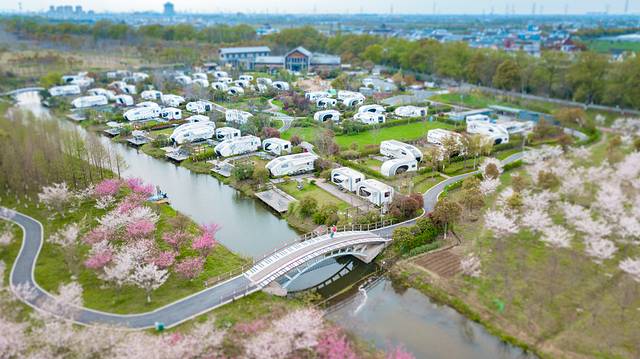 海洪宁静,海洪宁静海涛宁谧什么意思