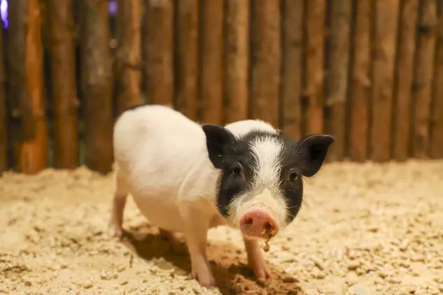 海信科学探索中心门票亲子票,海信科学探索中心门票直播