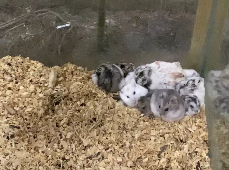 海信科学探索中心门票亲子票,海信科学探索中心门票直播