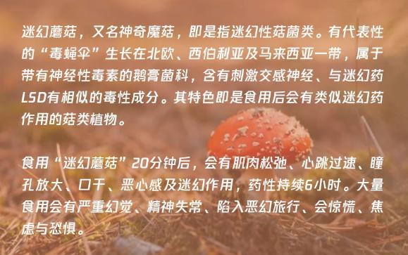 有毒的食物不能乱吃,有毒的食物别再吃