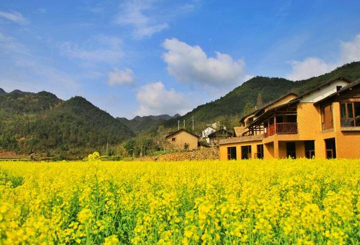 十大非遗文化民宿,2019浙江文旅总评榜