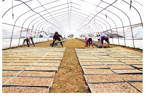 湖南省复产复工安排,永州零陵工业园全部复工复产了吗