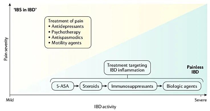 改善肠道功能的抗抑郁药,抗抑郁药可以治疗双相情感障碍