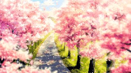 樱花限定单品有哪些,2019樱花限量单品