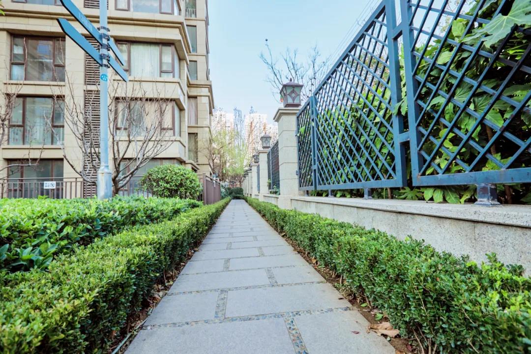 疫情之后地产新江湖，谁是平顶山的风清扬？