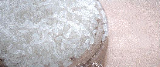 大米生虫子了长飞蛾了怎么办,大米有飞蛾虫怎么办