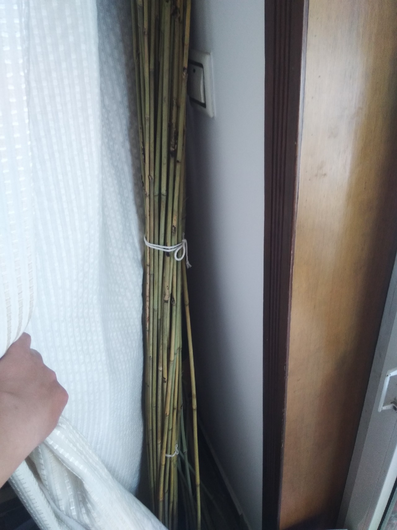 并继竿竹制好还是碳素好,自制并继竿需要什么竹子