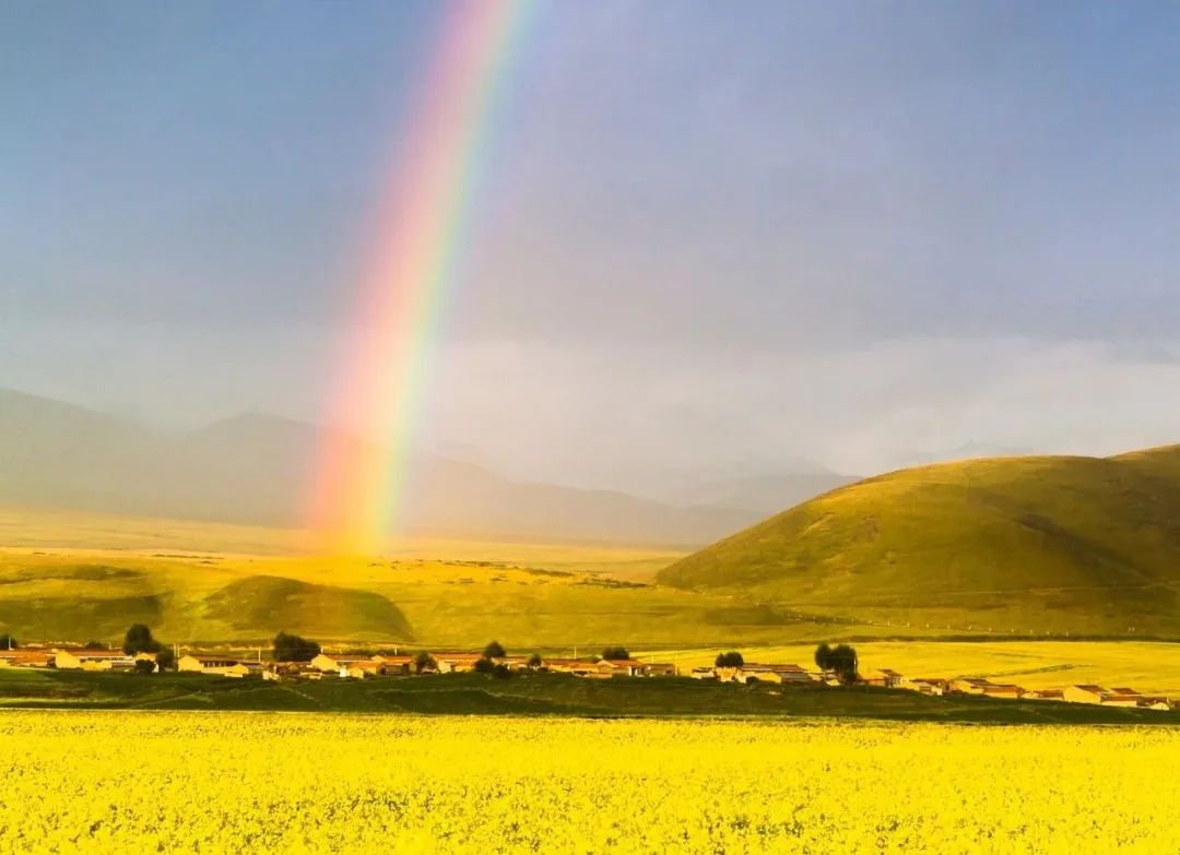 今日清明雨初晴,今日清明共寄哀思