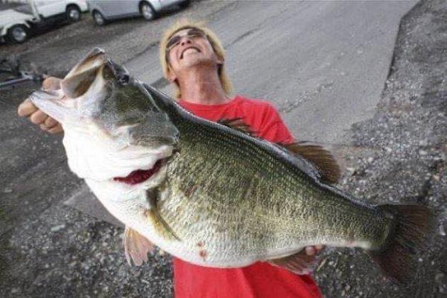 动森能钓黑鲈鱼吗,动森黑鲈鱼出现时间