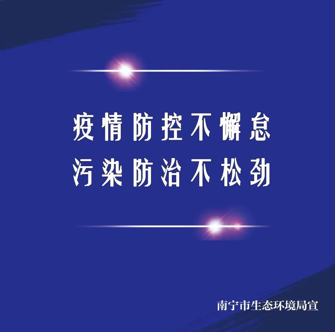 邕小环讲生态故事｜竹子的馈赠：土种树，木养土。竹子的功劳，你知不知道？