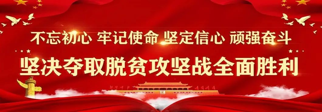 1600人!2020年甘肃省三支一扶招募公告