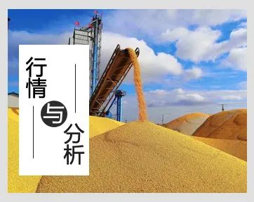 中国好粮油山东篇完整版,中国好粮油山东