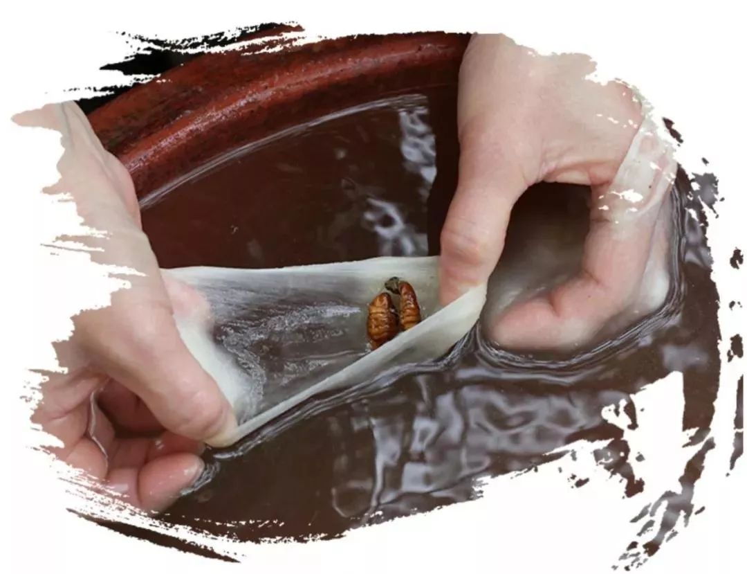 紧急通知蚕丝被,蚕丝被曝光事件