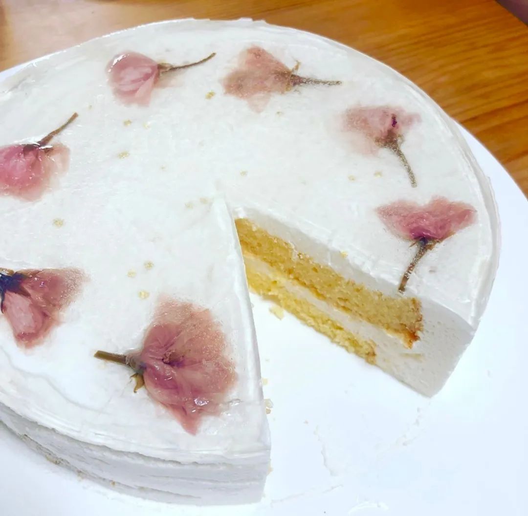 武汉终于解封！待到樱花再开时，相约这座英雄城市可好？