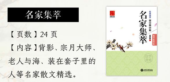 最美的见字如晤经典语录,见字如晤的美句