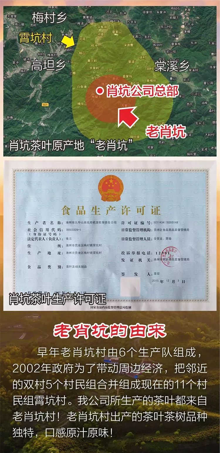 2020新茶上市|肖坑邀您一起直播采茶！