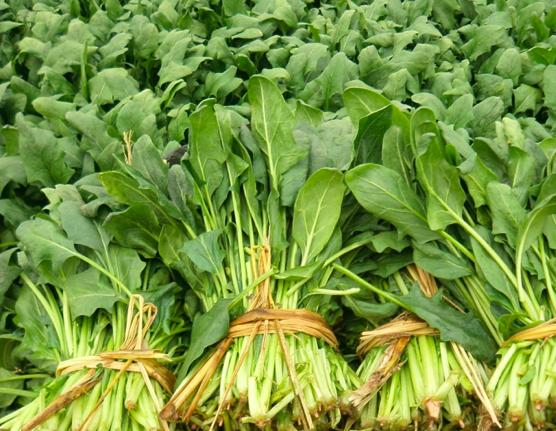 樱桃保存最佳方法快递,樱桃怎么样才能放冰箱保鲜