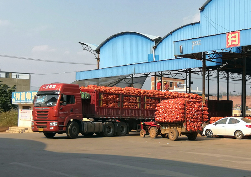 感恩云南千里驰援视频,感恩云南援咸医疗队