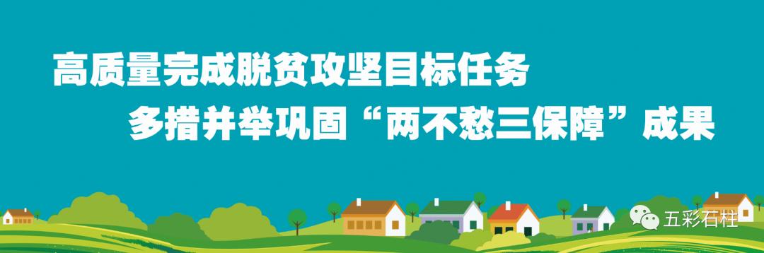 重庆高速违章网上交罚款,重庆高速违章几天能查到