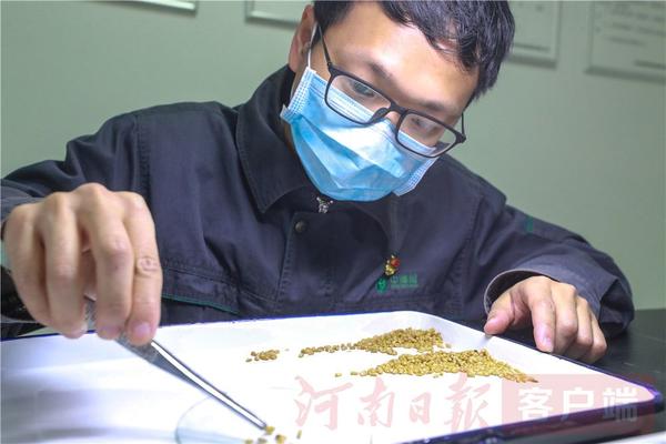 中原粮仓纪录片,探秘大国粮仓中储粮动画