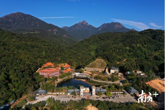 王志纲战略视角解读中国,王志纲大湾区