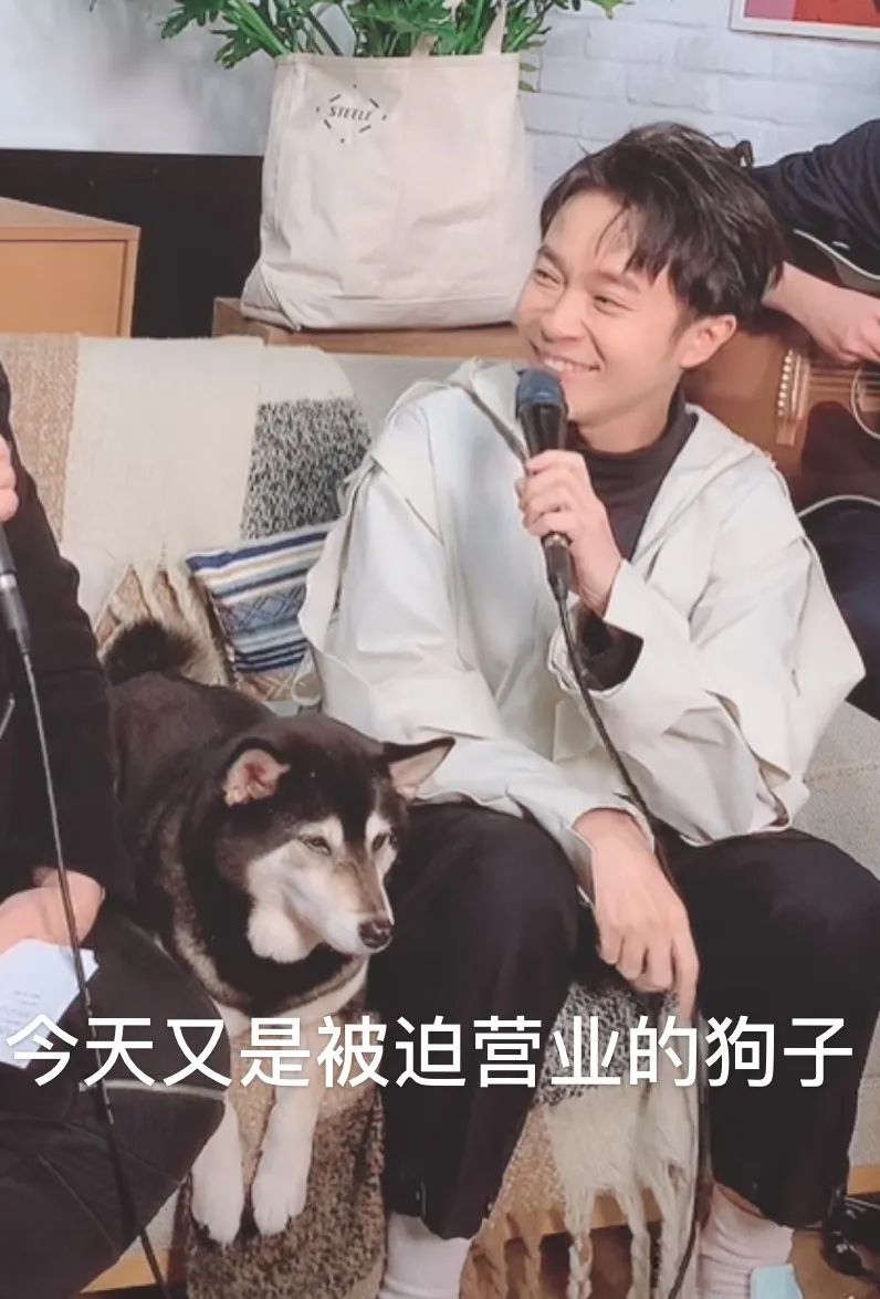 以后还会有演唱会吗,我们现在还能见到演唱会吗