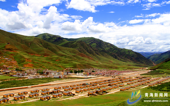 玉树重建十周年,玉树10年一苗