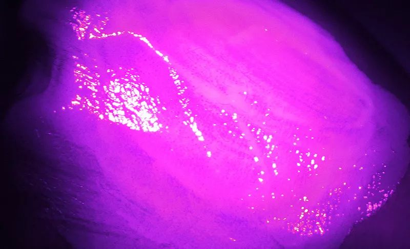 平价不油腻秋冬伪素颜防晒霜,防晒素颜霜二合一推荐第一名