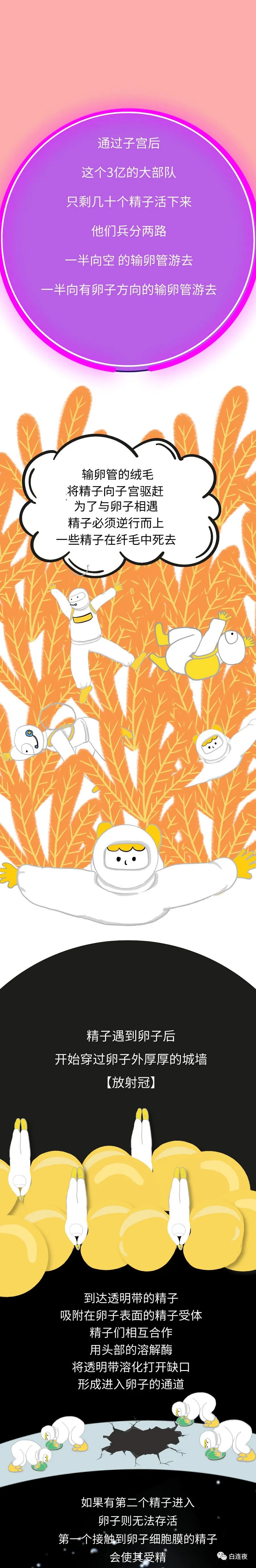 漫画科普常识10000个,漫画科普故事全集