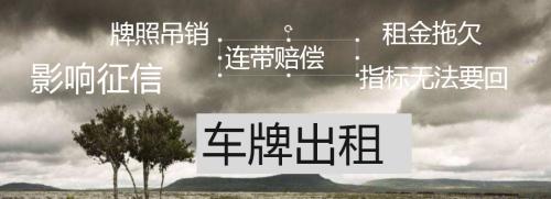 深圳车牌通过什么方式出租 (深圳租公司车牌有什么风险)